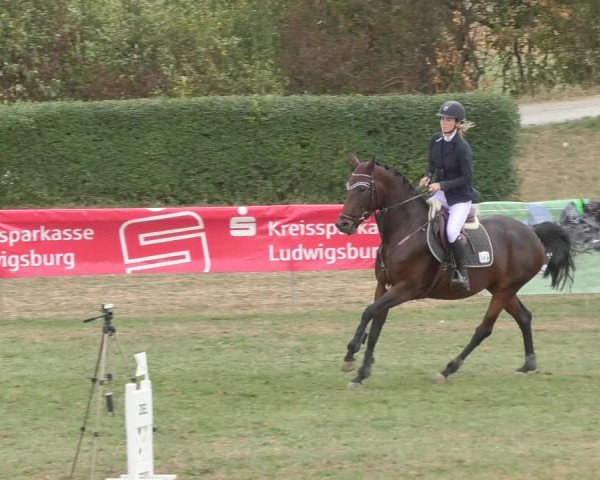 Reitturnier Nußdorf 2018