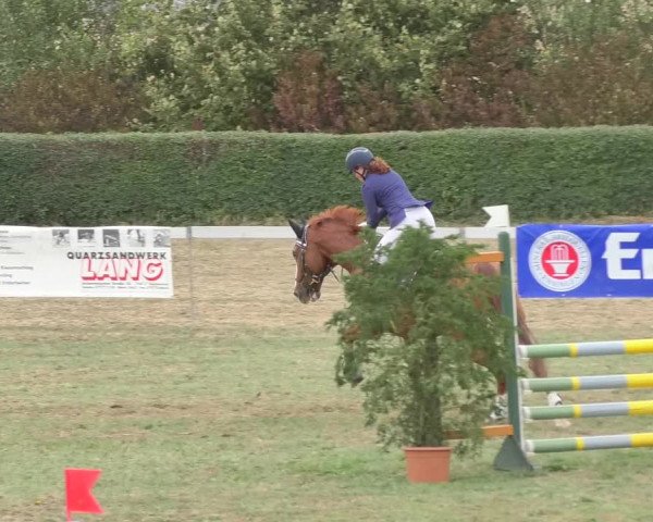 Reitturnier Nußdorf 2018