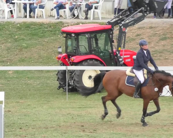 Reitturnier Nußdorf 2018