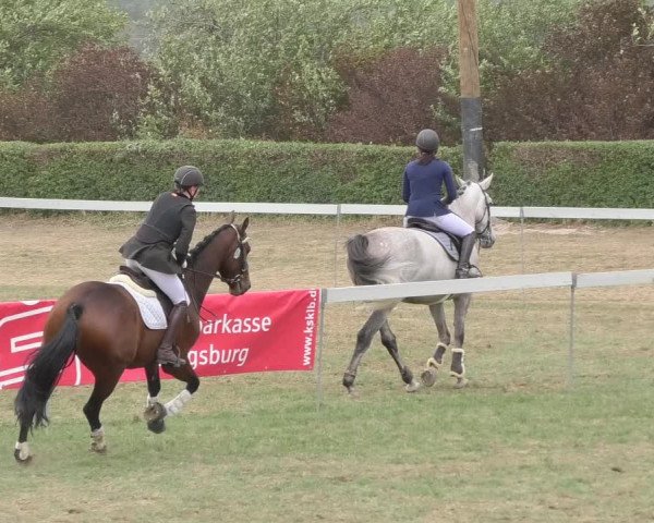 Reitturnier Nußdorf 2018