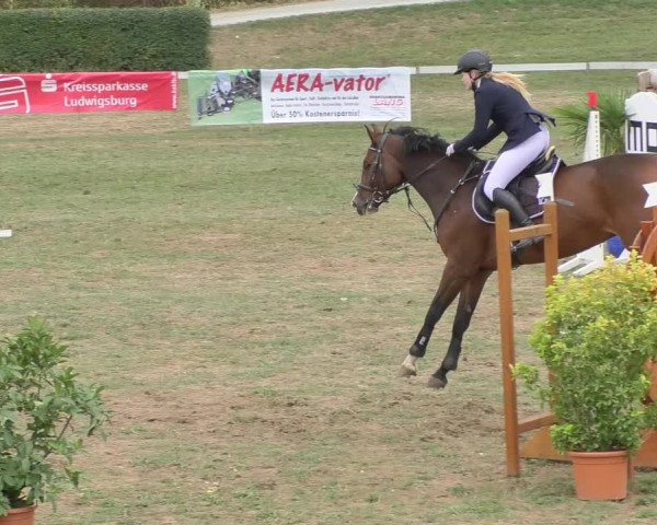 Reitturnier Nußdorf 2018