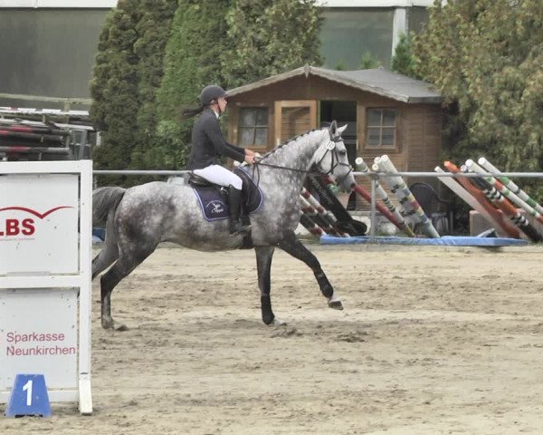 Reitturnier Neunkirchen-City 2018
