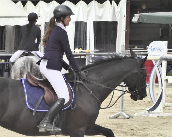 Reitturnier Neunkirchen-City 2018