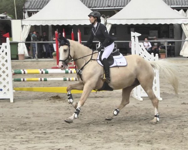 Reitturnier Neunkirchen-City 2018