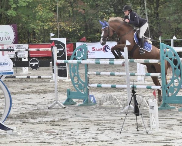 Reitturnier Neunkirchen-City 2018