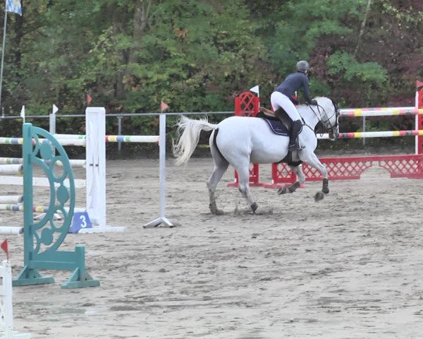 Reitturnier Neunkirchen-City 2018