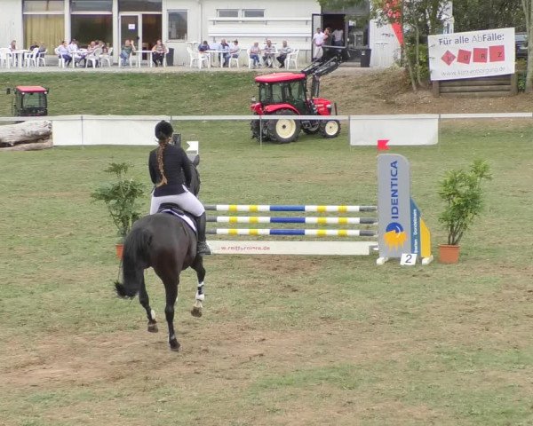 Reitturnier Nußdorf 2018