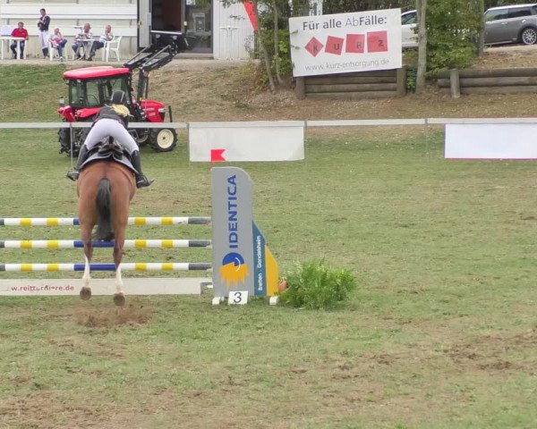 Reitturnier Nußdorf 2018