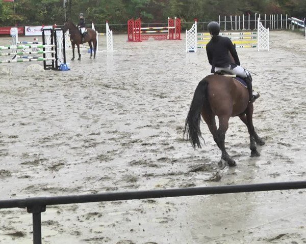 Reitturnier Neunkirchen-City 2018