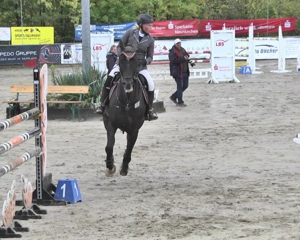 Reitturnier Neunkirchen-City 2018