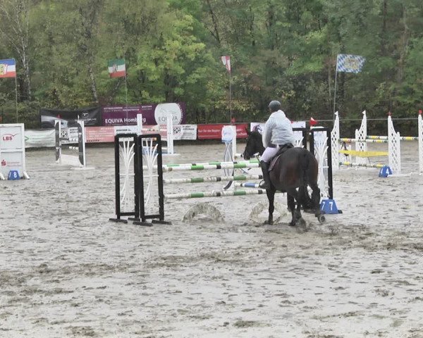 Reitturnier Neunkirchen-City 2018