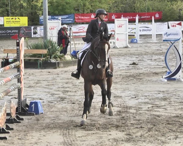 Reitturnier Neunkirchen-City 2018