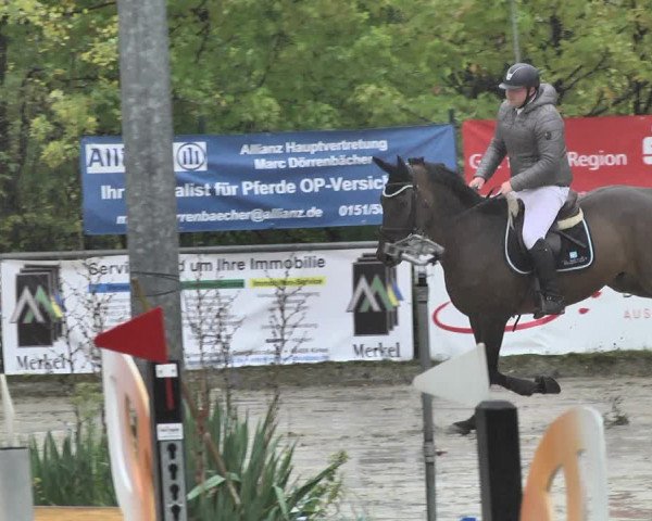 Reitturnier Neunkirchen-City 2018