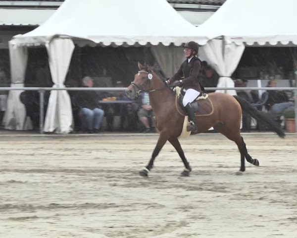 Reitturnier Neunkirchen-City 2018