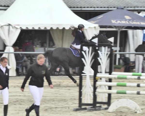 Reitturnier Neunkirchen-City 2018