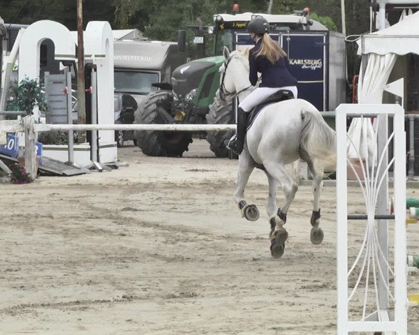 Reitturnier Neunkirchen-City 2018