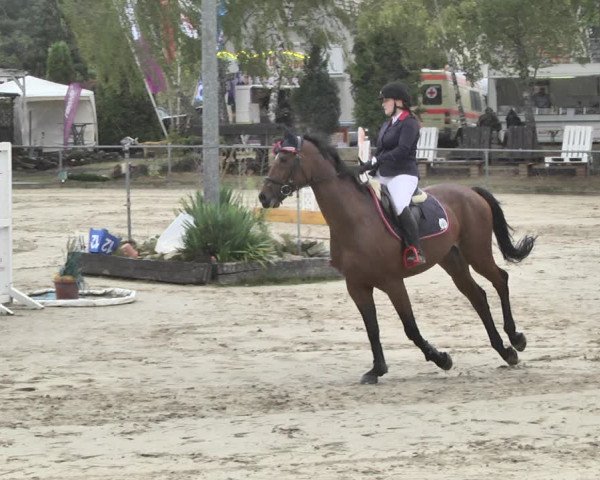 Reitturnier Neunkirchen-City 2018