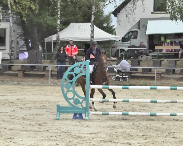 Reitturnier Neunkirchen-City 2018