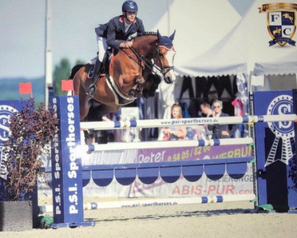 jumper Its A Fact (Irish Sport Horse, 2004, from Aldatus Z)