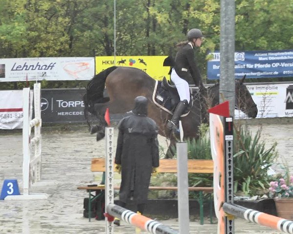 Reitturnier Neunkirchen-City 2018