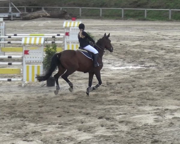 Reitturnier Köln-Leverkusen 2018
