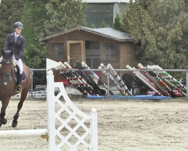 Reitturnier Neunkirchen-City 2018