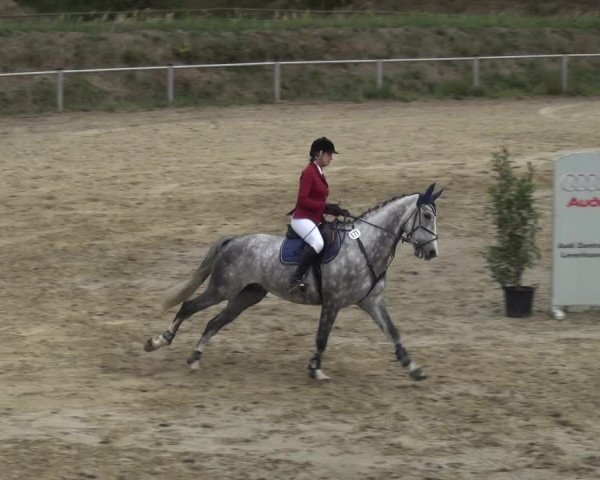 Reitturnier Köln-Leverkusen 2018