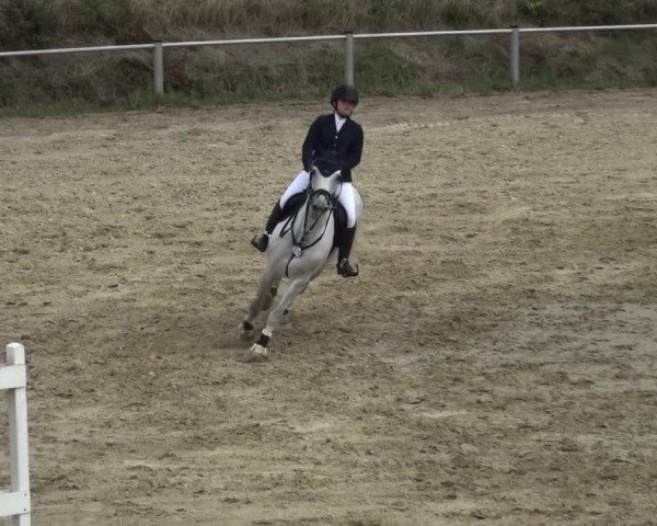 Reitturnier Köln-Leverkusen 2018