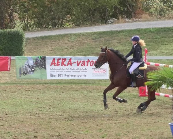 Reitturnier Nußdorf 2018