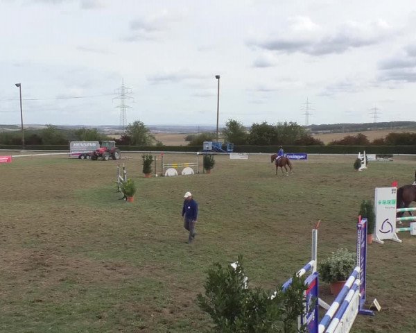 Reitturnier Nußdorf 2018