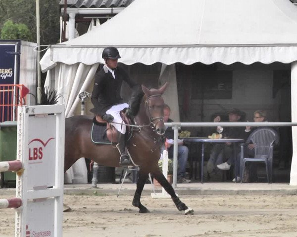 Reitturnier Neunkirchen-City 2018