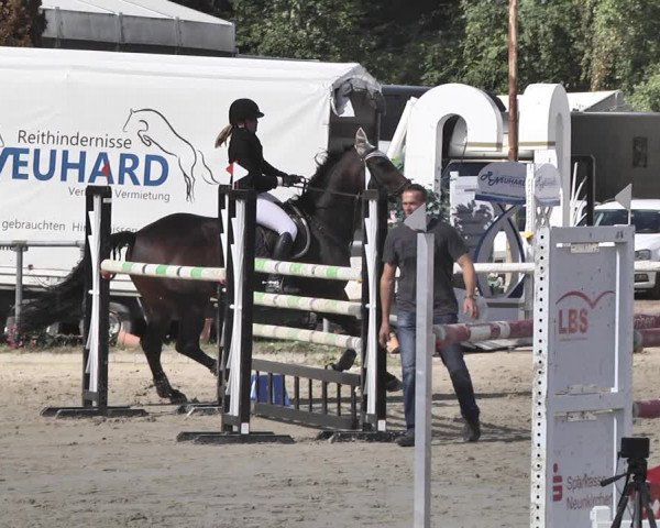Reitturnier Neunkirchen-City 2018