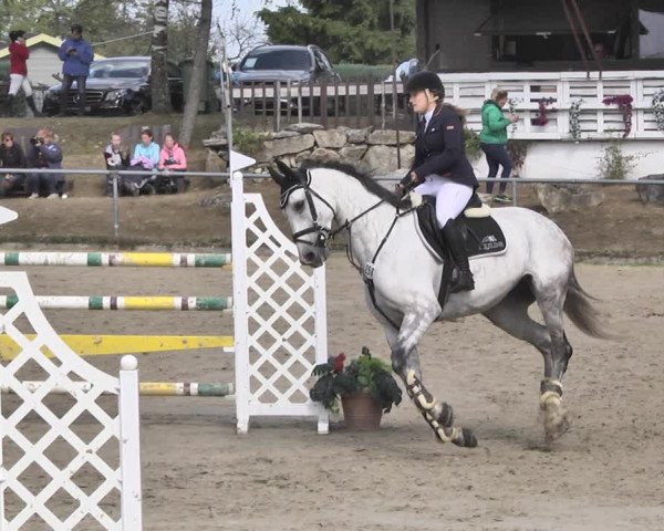 Reitturnier Neunkirchen-City 2018