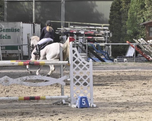 Reitturnier Neunkirchen-City 2018