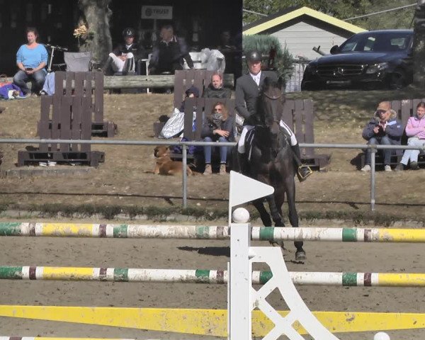 Reitturnier Neunkirchen-City 2018