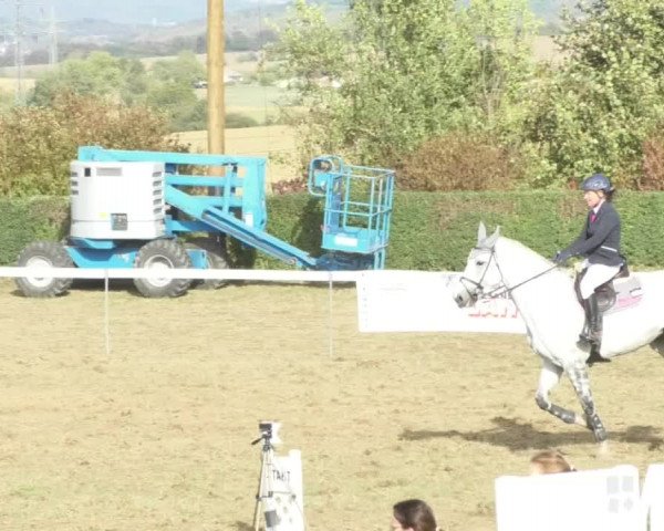 Reitturnier Nußdorf 2018
