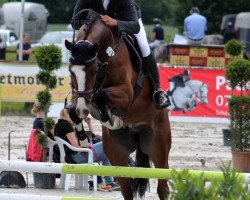 jumper Baloufino 4 (Westphalian, 2012, from Balou du Rouet)