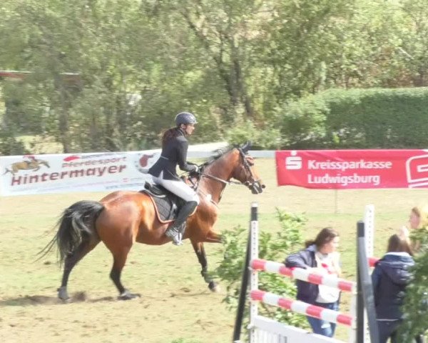 Reitturnier Nußdorf 2018