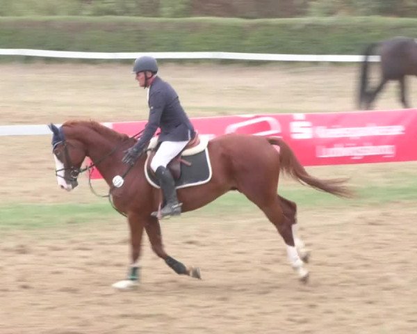 Reitturnier Nußdorf 2018