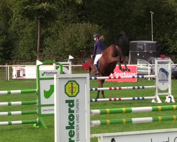 Reitturnier Kellinghusen 2018