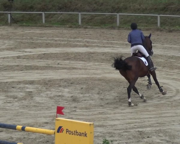 Reitturnier Köln-Leverkusen 2018