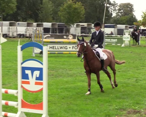 Reitturnier Kellinghusen 2018