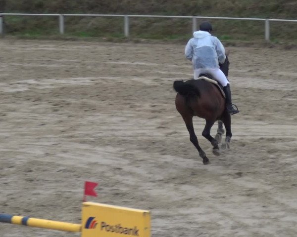 Reitturnier Köln-Leverkusen 2018