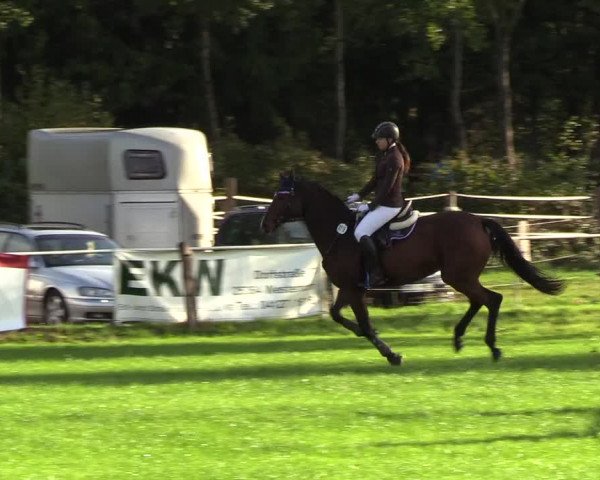 Reitturnier Kellinghusen 2018