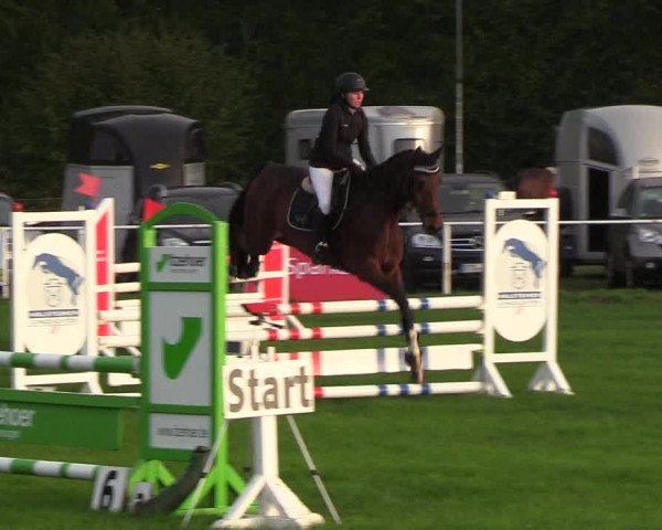 Reitturnier Kellinghusen 2018