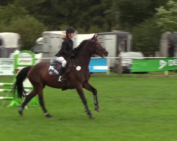 Reitturnier Kellinghusen 2018