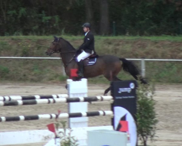 Reitturnier Köln-Leverkusen 2018
