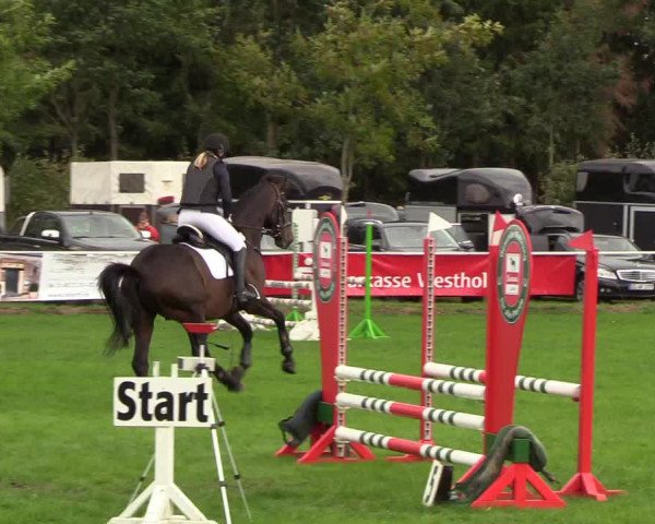 Reitturnier Kellinghusen 2018