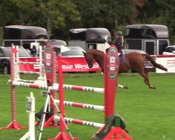 Reitturnier Kellinghusen 2018