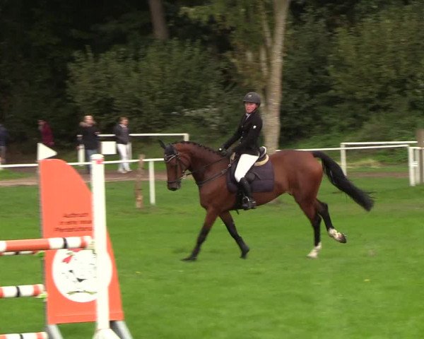 Reitturnier Kellinghusen 2018
